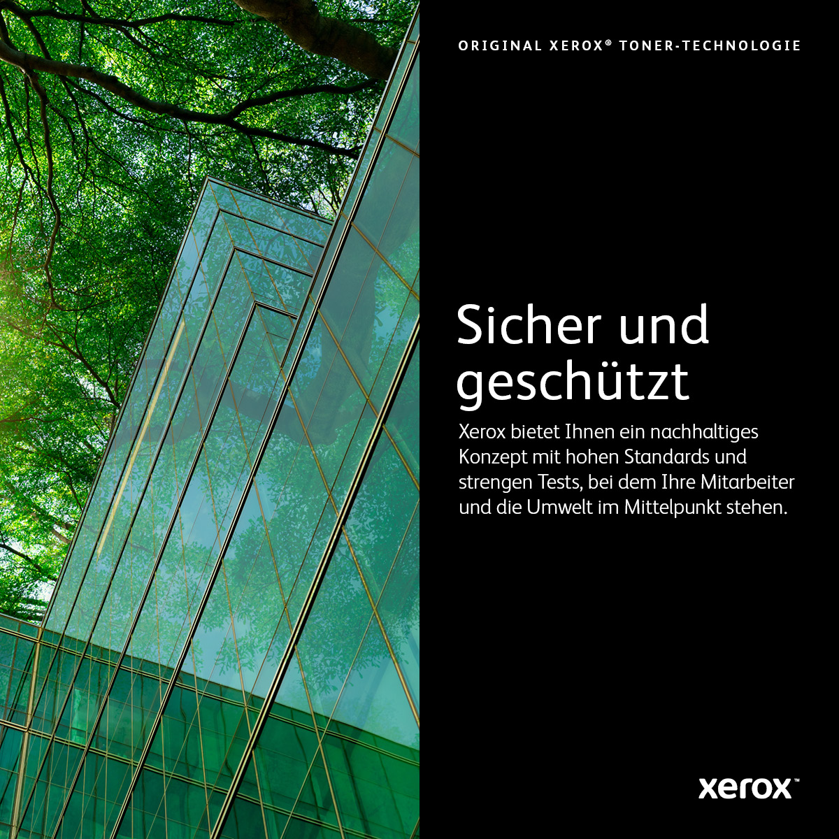 Original Xerox 006R01552 Toner schwarz