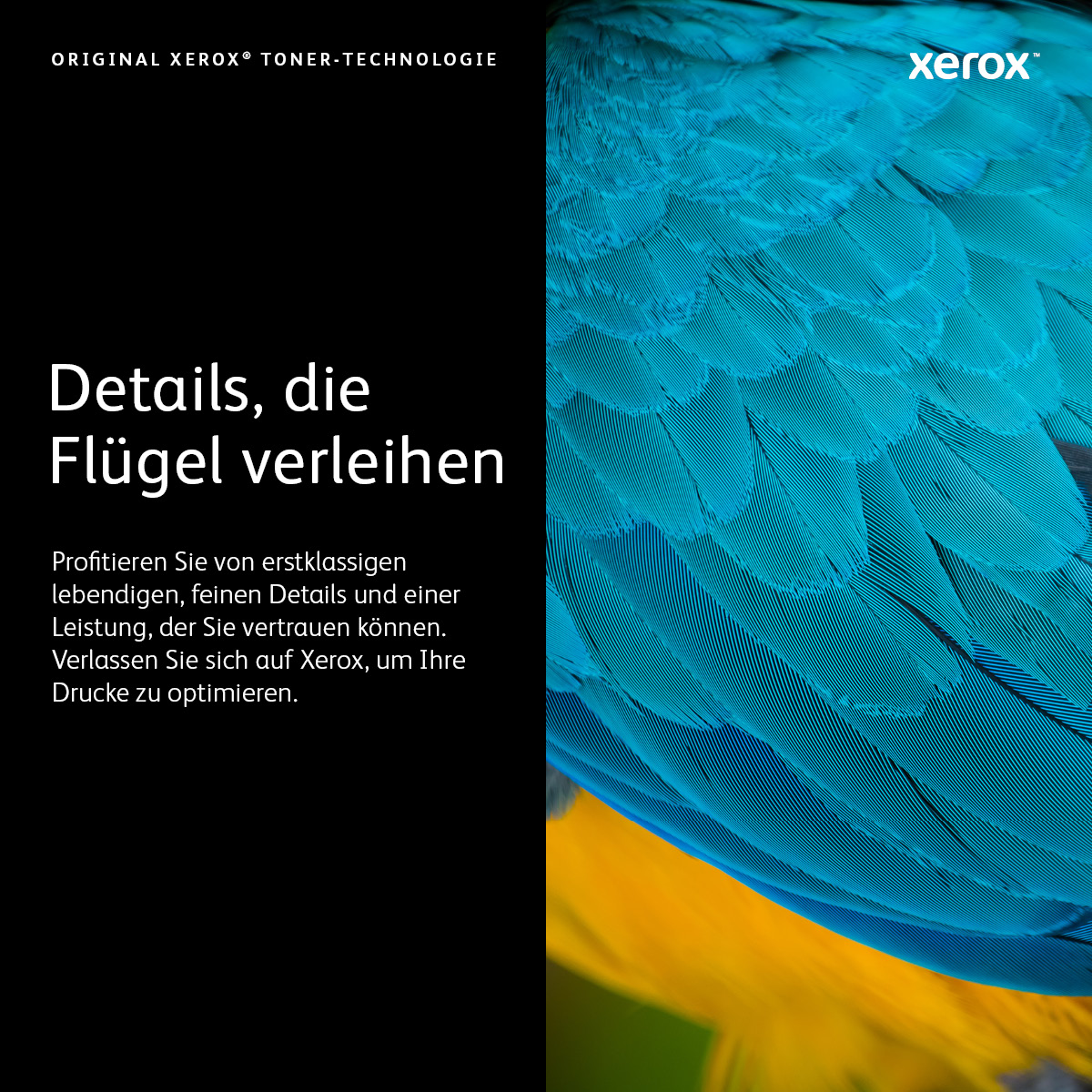 Original Xerox 006R01552 Toner schwarz