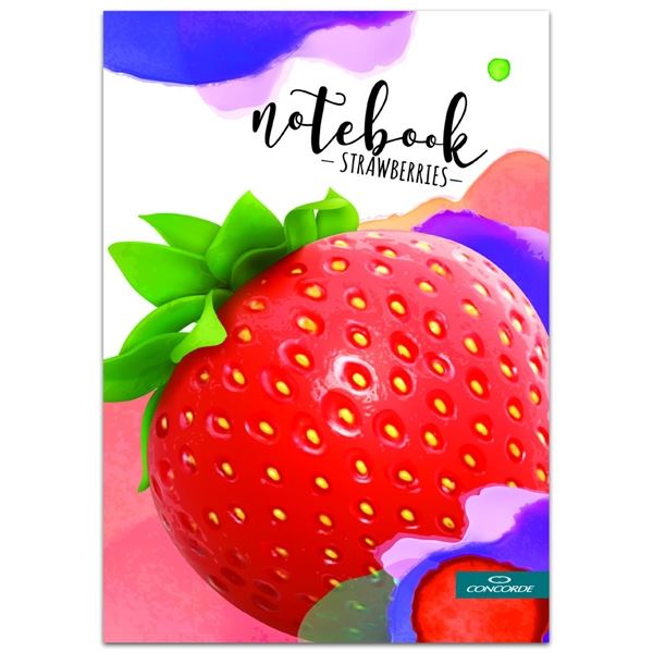 Notizbuch A5, blanko, 96 Blatt, Einbände verschiedene Designs