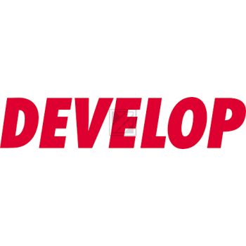 Original Develop A11G2D0 / TN-319Y Toner gelb