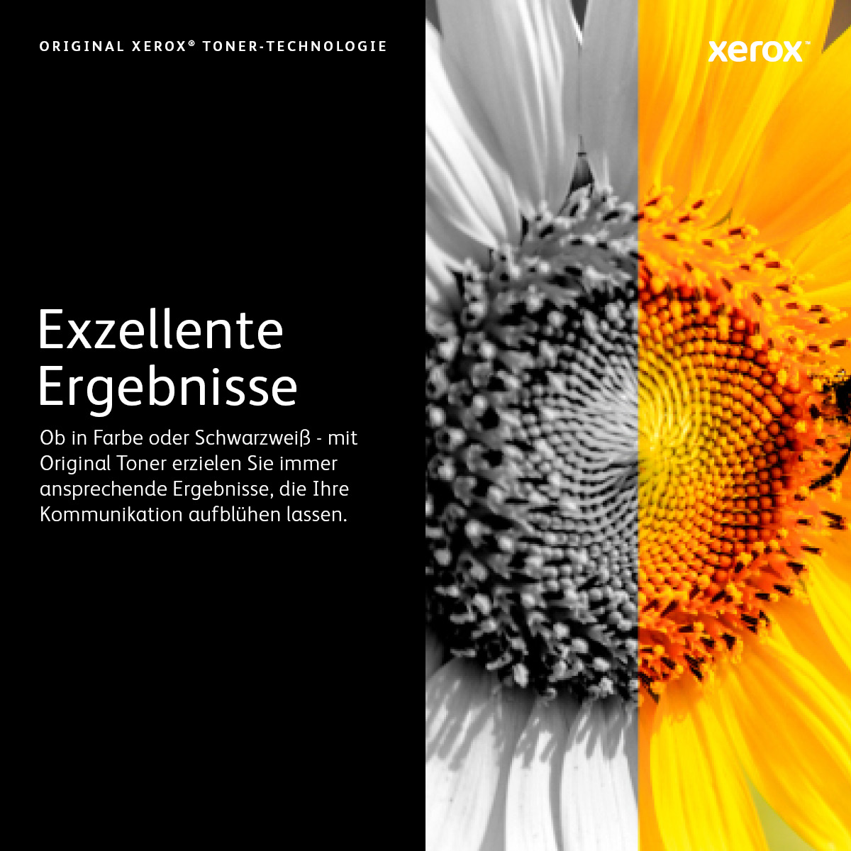 Original Xerox 006R01552 Toner schwarz