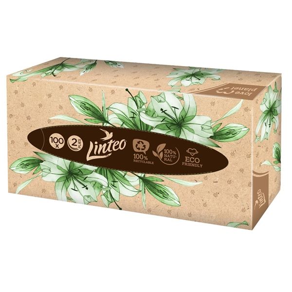 Linteo Satin Papiertaschentücher in einer Schachtel