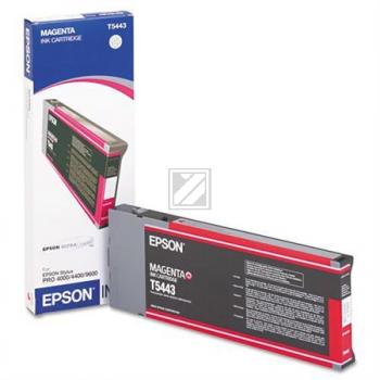Original Epson C13T544300 / T5443 Tinte magenta