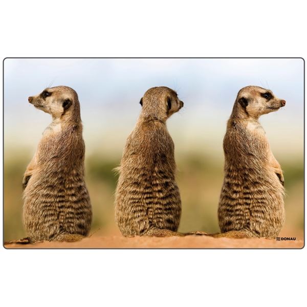 Tischset Donau - verschiedene Tiermotive